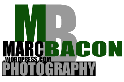Marc Bacon Photography